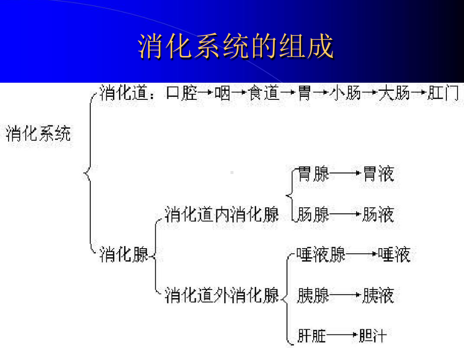 第五讲消化系统肿瘤癌症发生的原因及预防课件.ppt_第2页