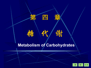 生物化学第04章糖代谢课件.ppt