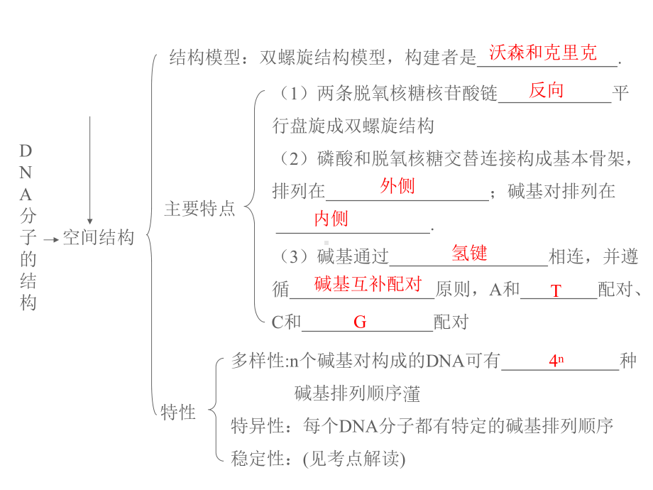 届高三生物一轮复习精讲课件DNA分子的结构和.ppt_第3页