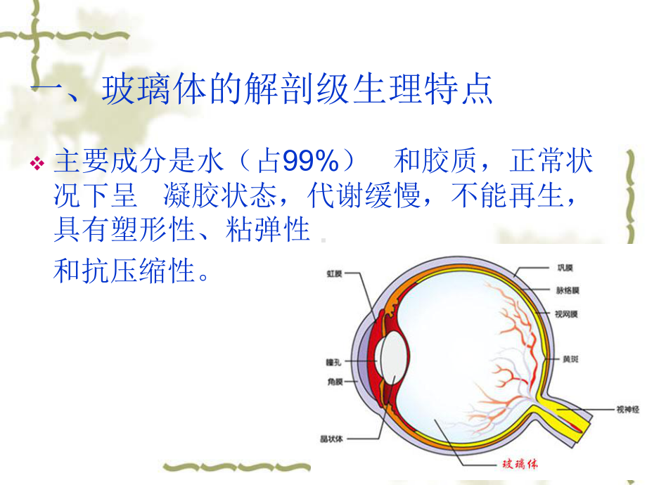 第十二章玻璃体病课件.ppt_第3页