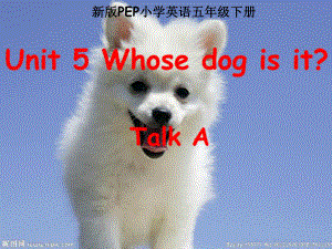 人教版英语五年级下册课件Unit-5-Whose-dog-is-it-A-Let's-talk49p.ppt（纯ppt,可能不含音视频素材）