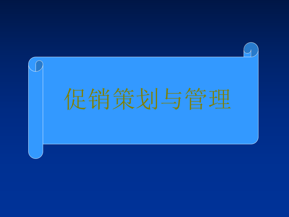 促销策划与管理(培训)课件.ppt_第2页