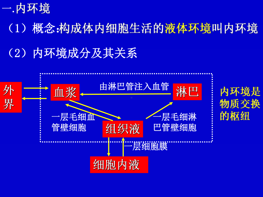 内环境与稳态复习讲解课件.ppt_第2页