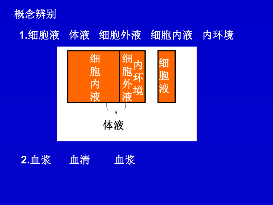 内环境与稳态复习讲解课件.ppt_第3页