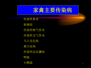 家禽主要传染病课件.ppt