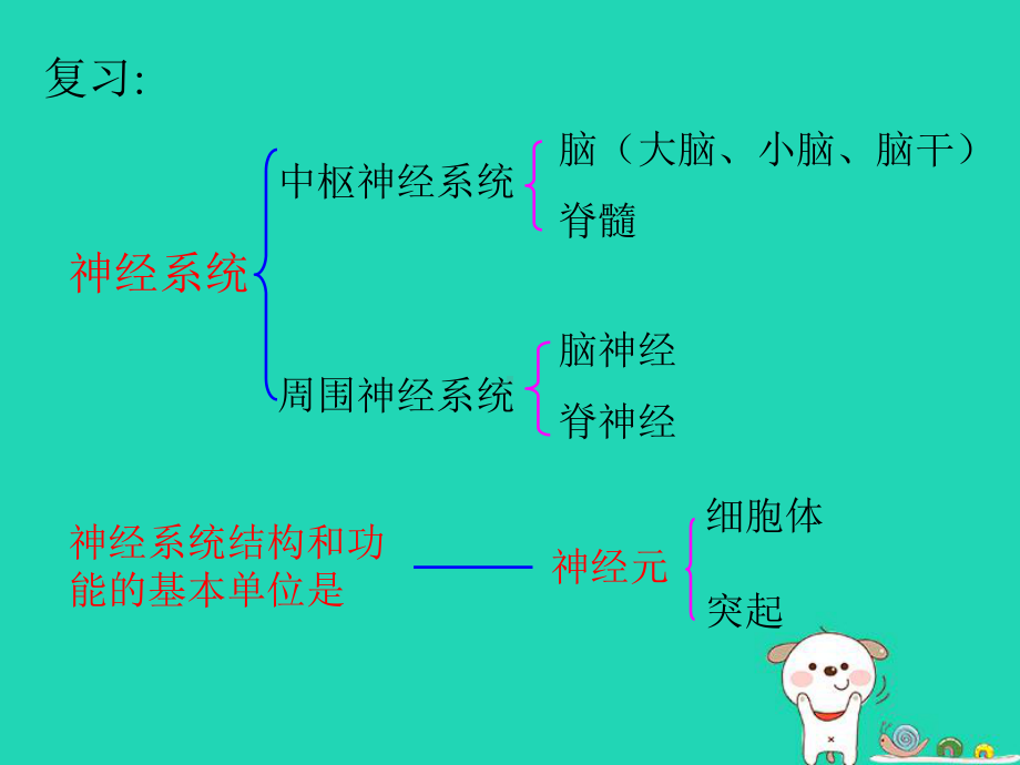 人教版《神经调节的基本方式》1课件.ppt_第2页