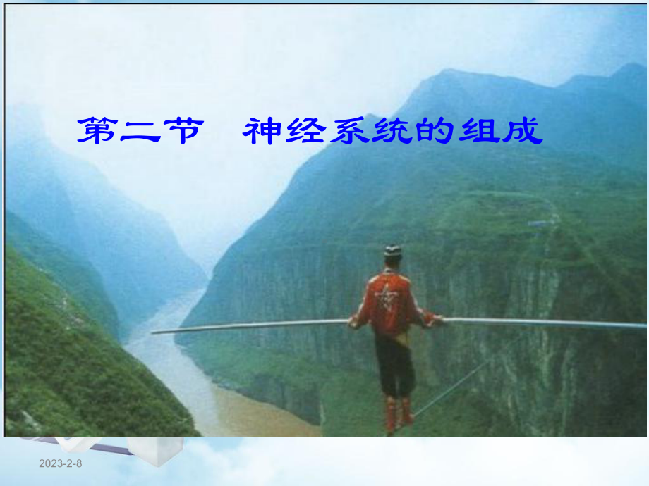 第二节神经系统的组成课件.ppt_第1页