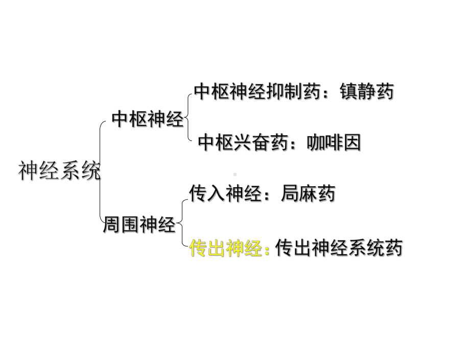 第七章拟胆碱药和抗胆碱药课件.ppt_第1页