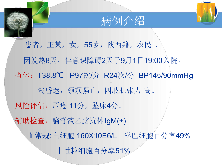 医学课件流行性乙型脑炎护理查房.ppt_第2页