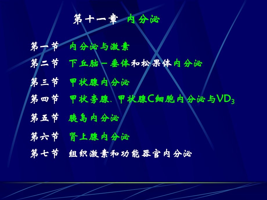 第11章内分泌系统南华大学课件.ppt_第1页