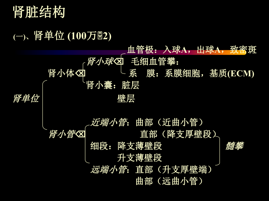 郑法雷肾脏病总论课件.ppt_第3页