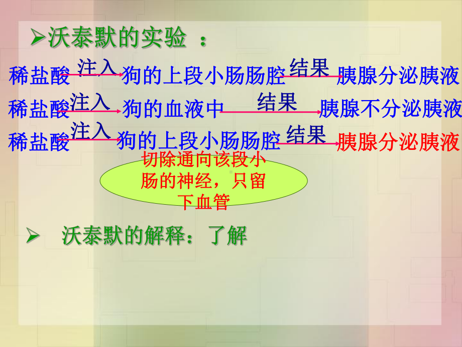 必修3第二章第二节一轮复习激素调节课件.ppt_第3页