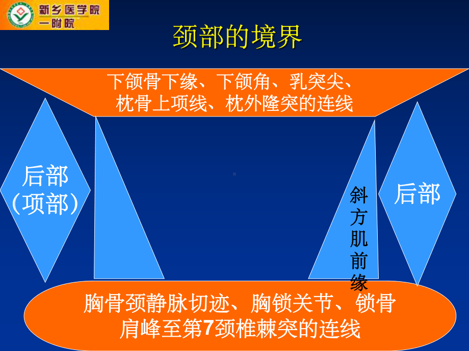 《颈部解剖及疾病》课件.ppt_第3页