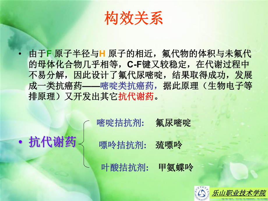 甲氨蝶呤乐山职业技术学院课件.ppt_第3页