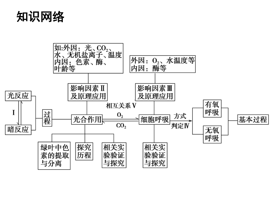 光合作用二轮复习课件.ppt_第3页