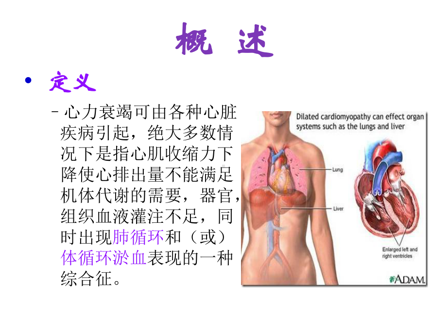 心功能不全健康教育(同名439)课件.ppt_第2页