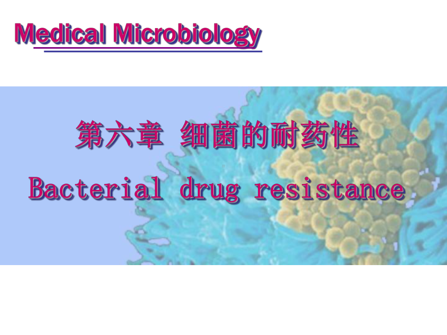 细菌的耐药性课件.ppt_第1页