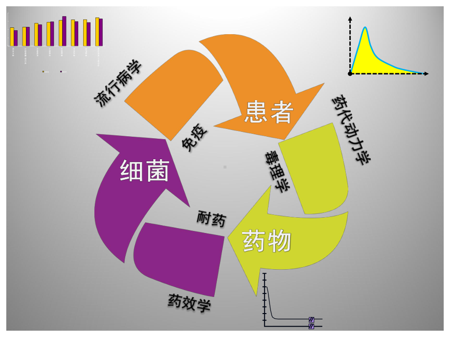 抗生素的临床合理应用天津课件.ppt_第2页