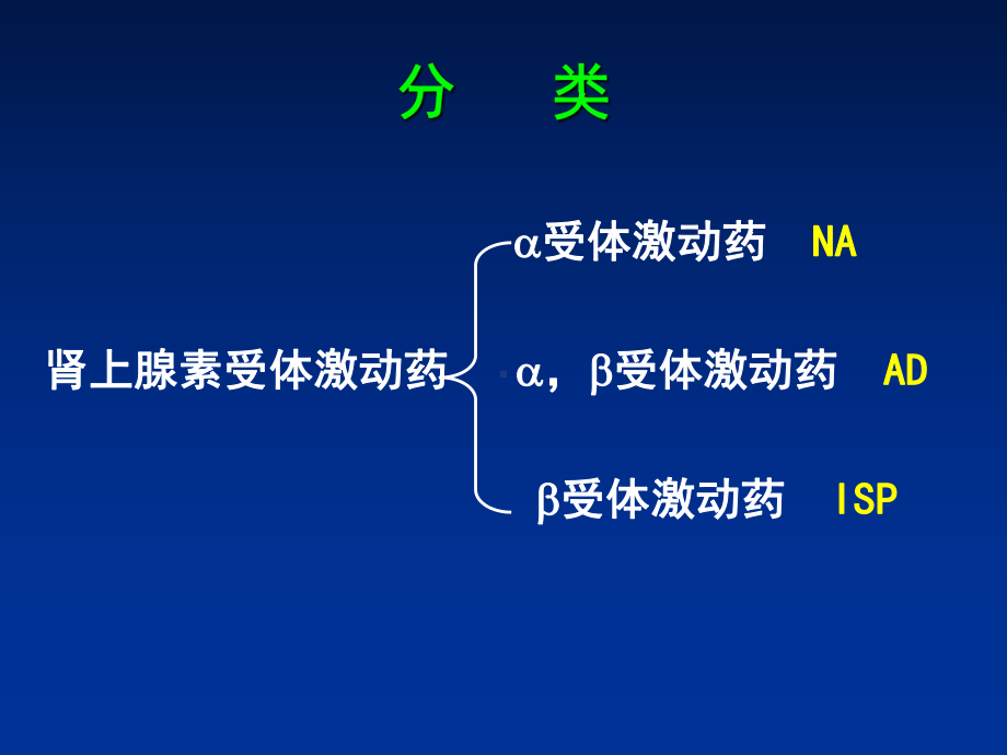 最新α受体激动药去甲肾上腺素课件.ppt_第2页