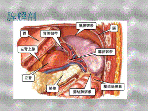 脾切除术后并发症资料课件.ppt