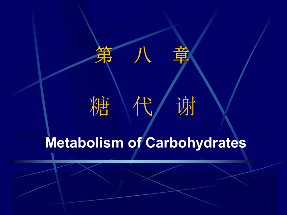 糖 代 谢生物化学　课件.ppt_第1页