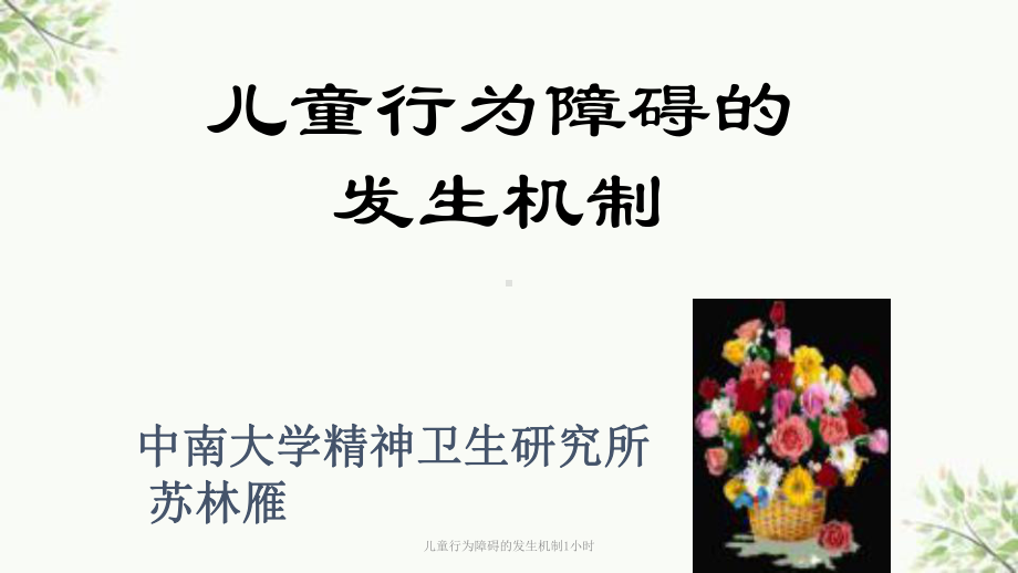 儿童行为障碍的发生机制1小时课件.ppt_第1页