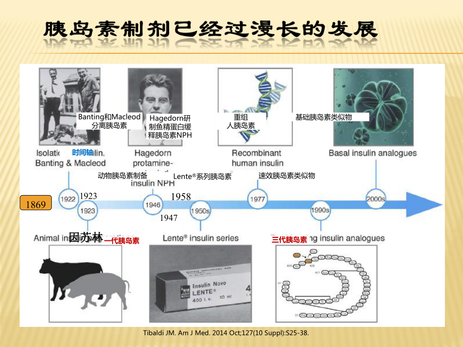 胰岛素的临床运用课件.pptx_第3页