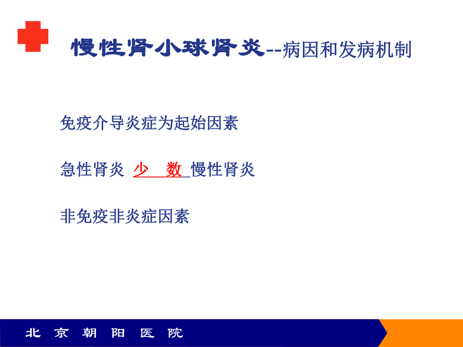 慢性肾小球肾炎 课件.ppt_第3页