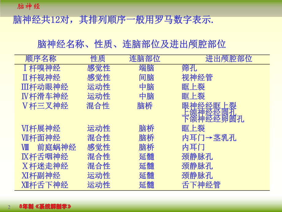 系统解剖学182脑神经课件.ppt_第2页