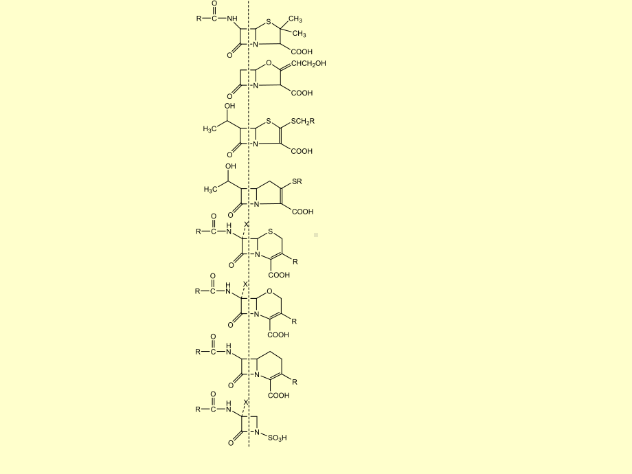 微生物药物学第5章β内酰胺类抗生素课件.ppt_第2页