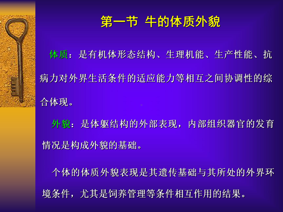 牛的体质外貌和生产力课件.ppt_第2页