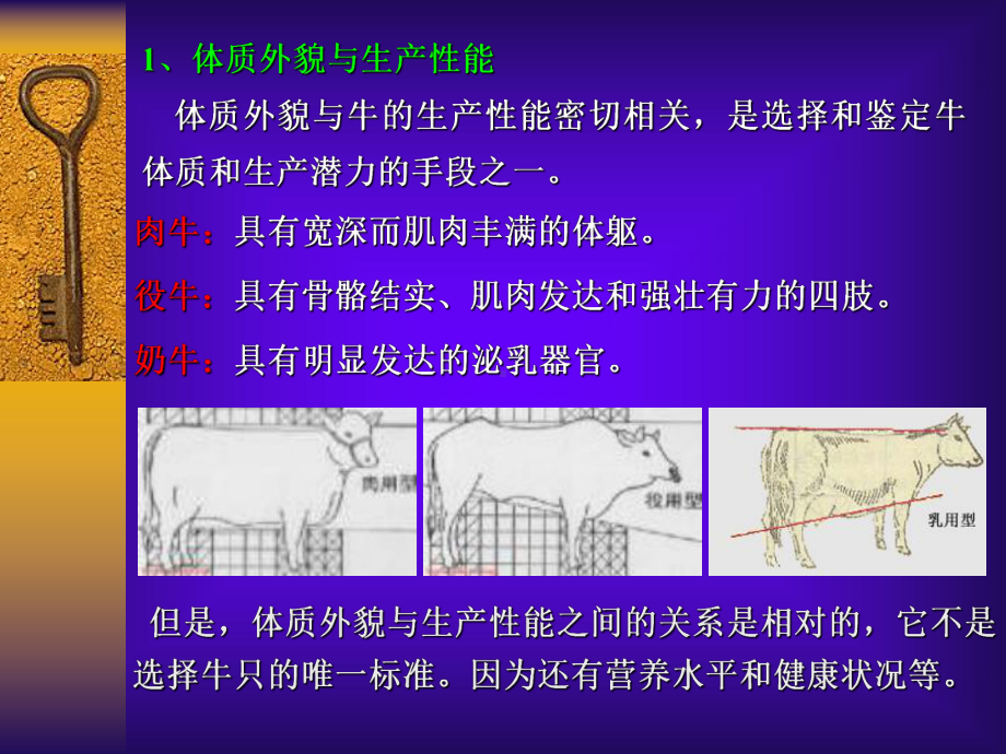 牛的体质外貌和生产力课件.ppt_第3页