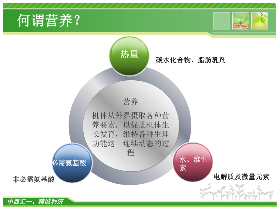 肠外营养的管理陈霞飞 课件.ppt_第3页