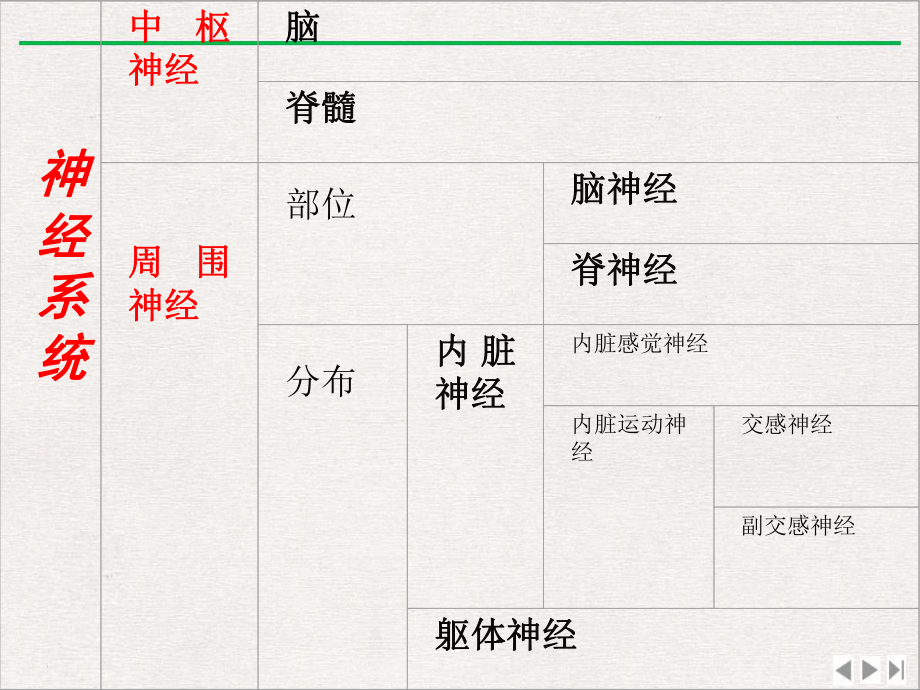 神经病学运动感觉定位完美版课件.pptx_第2页