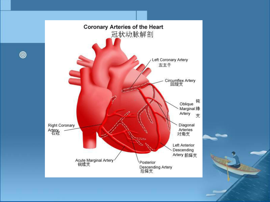 冠状动脉搭桥手术体外循环管理课件.ppt_第3页