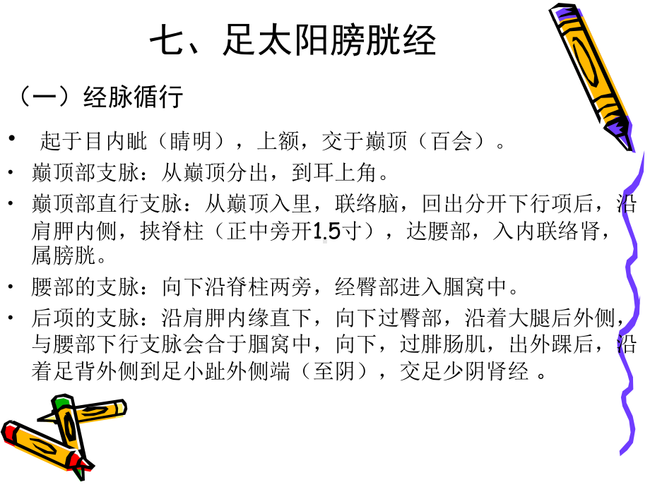 足太阳膀胱经13课件.ppt_第2页