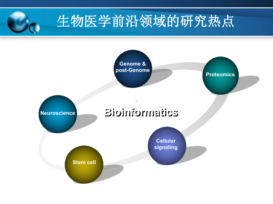 生物医学研究热点及意义课件.ppt_第3页