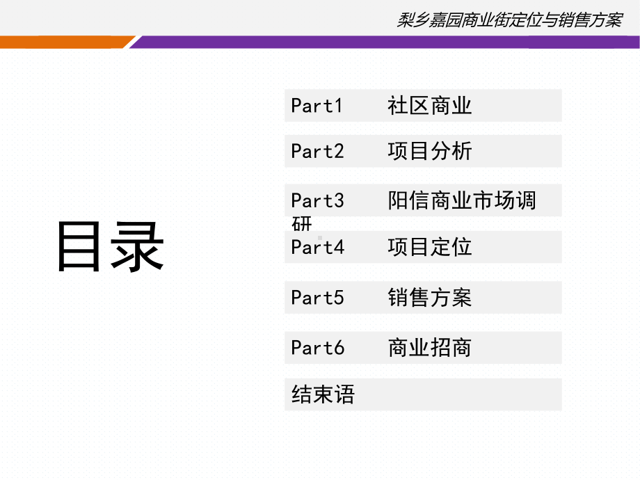 商业街定位与销售方案课件.pptx_第2页