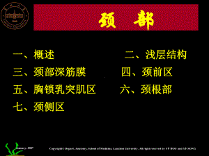 系统解剖学系统解剖学systematicanatomy主讲人侯一平教授兰州课件.ppt