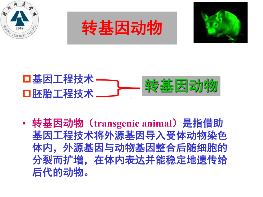 第9章转基因动物与动物生物反应器课件.ppt_第2页