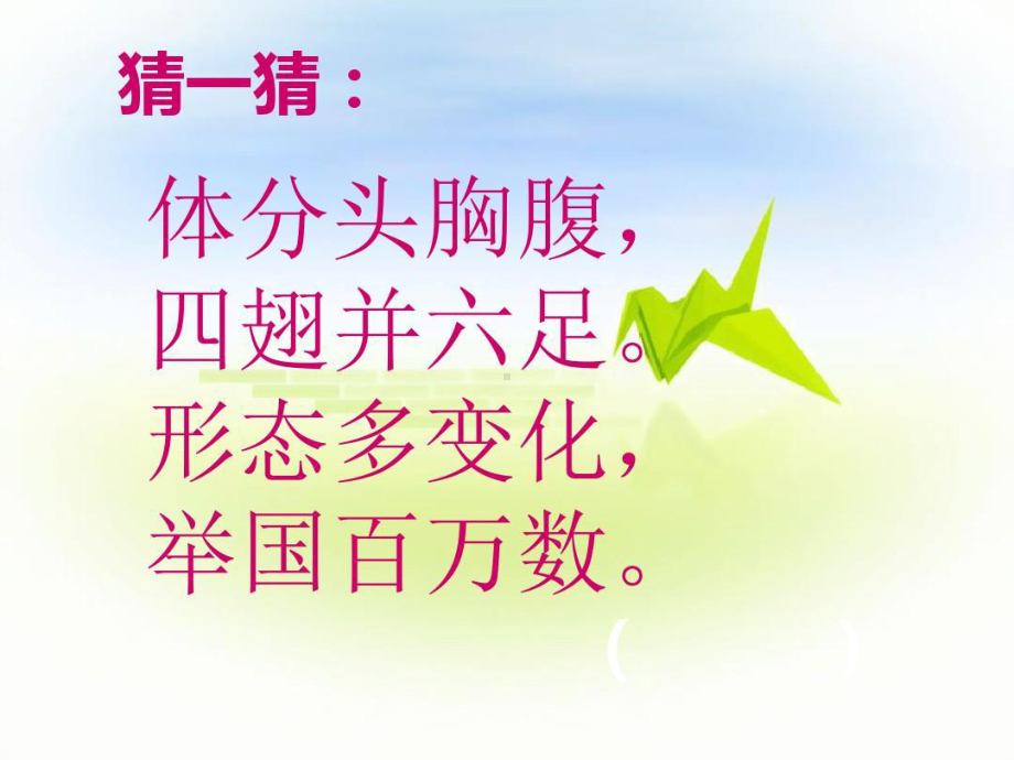 年级实践小昆虫大世界课件.ppt_第1页