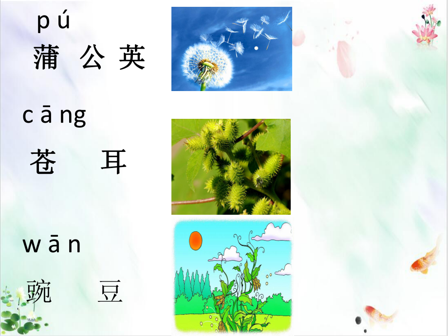 人教部编版《植物妈妈有办法》经典课件.pptx_第3页