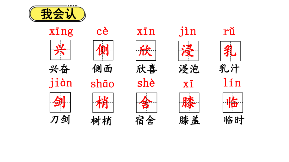 人教部编版三年级《美丽的小兴安岭》优质课件3.pptx_第2页