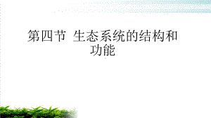 九年级下科学《生态系统的结构和功能》完美课件浙教版.pptx