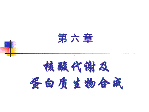 核酸代谢及课件.ppt