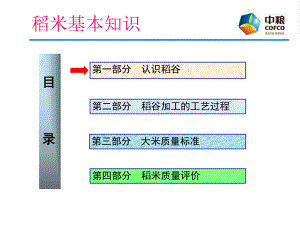 大米基本知识课件.ppt