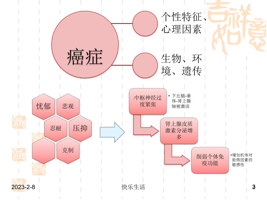 肿瘤患者心理护理与社会支持董雪1课件.ppt_第3页