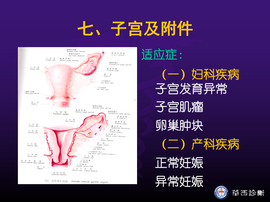 超声诊断腹部课件.ppt_第2页