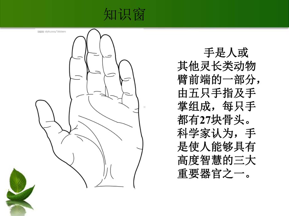 小学美术画一画自己的手课件.ppt_第3页