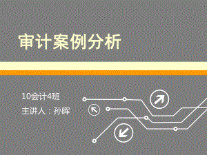 审计案例分析课件.ppt